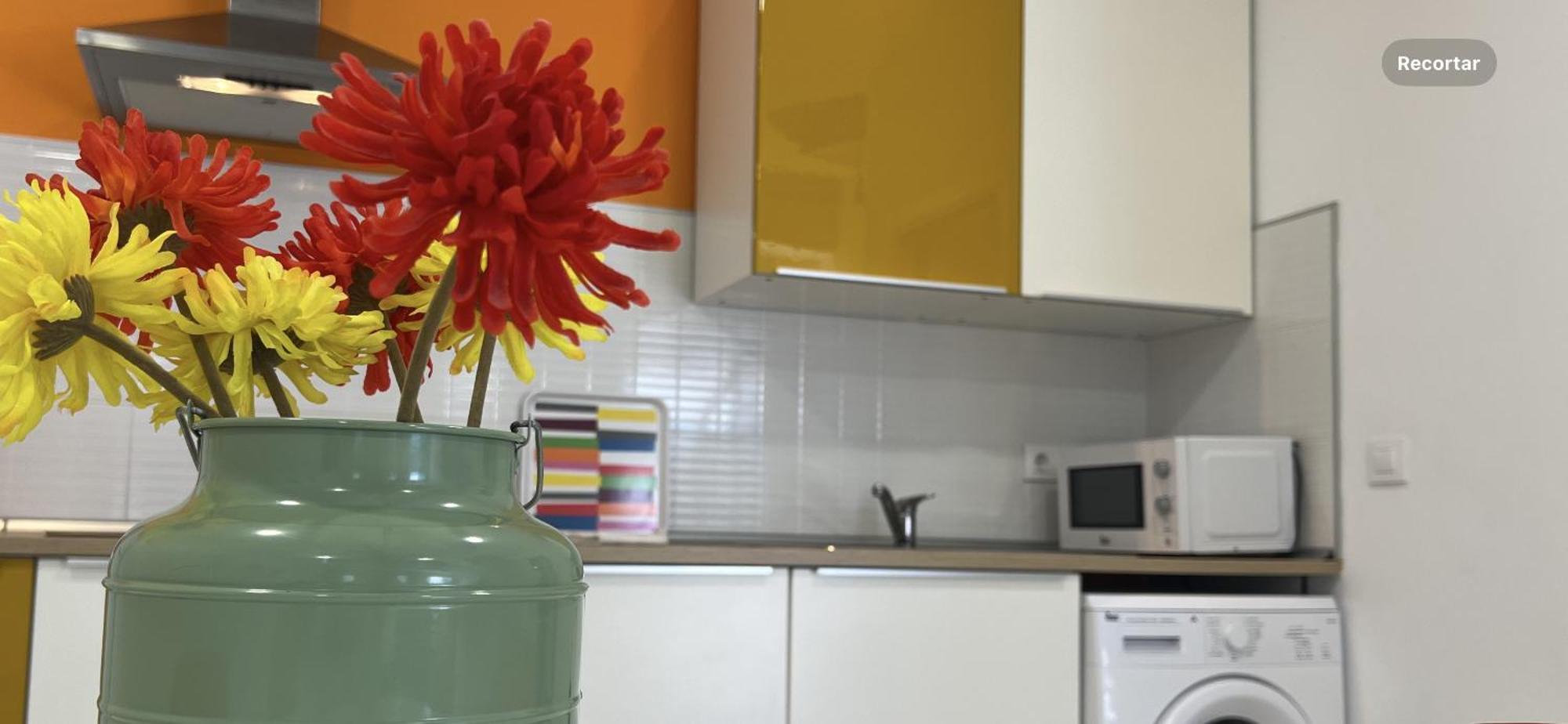 Ancla Real Apartamentos Loft 圣玛丽亚港 外观 照片