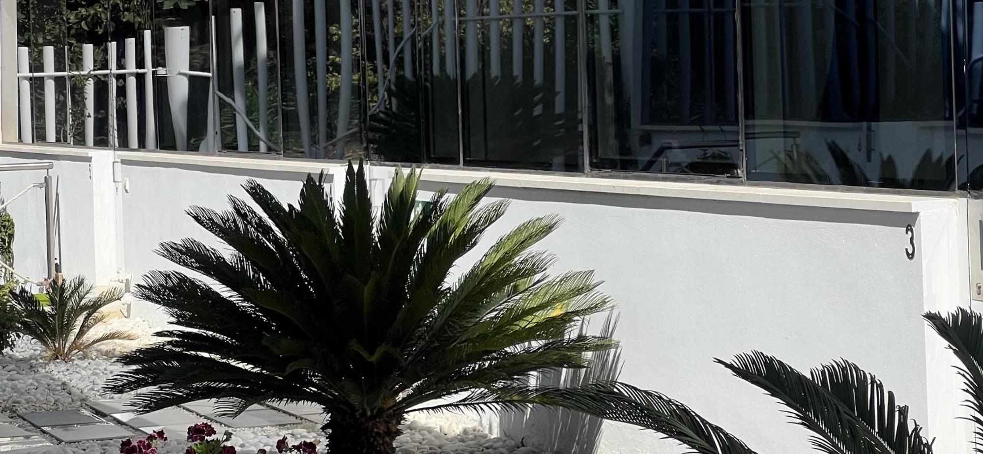 Ancla Real Apartamentos Loft 圣玛丽亚港 外观 照片