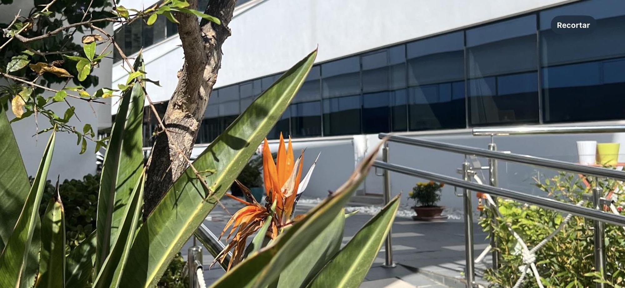 Ancla Real Apartamentos Loft 圣玛丽亚港 外观 照片