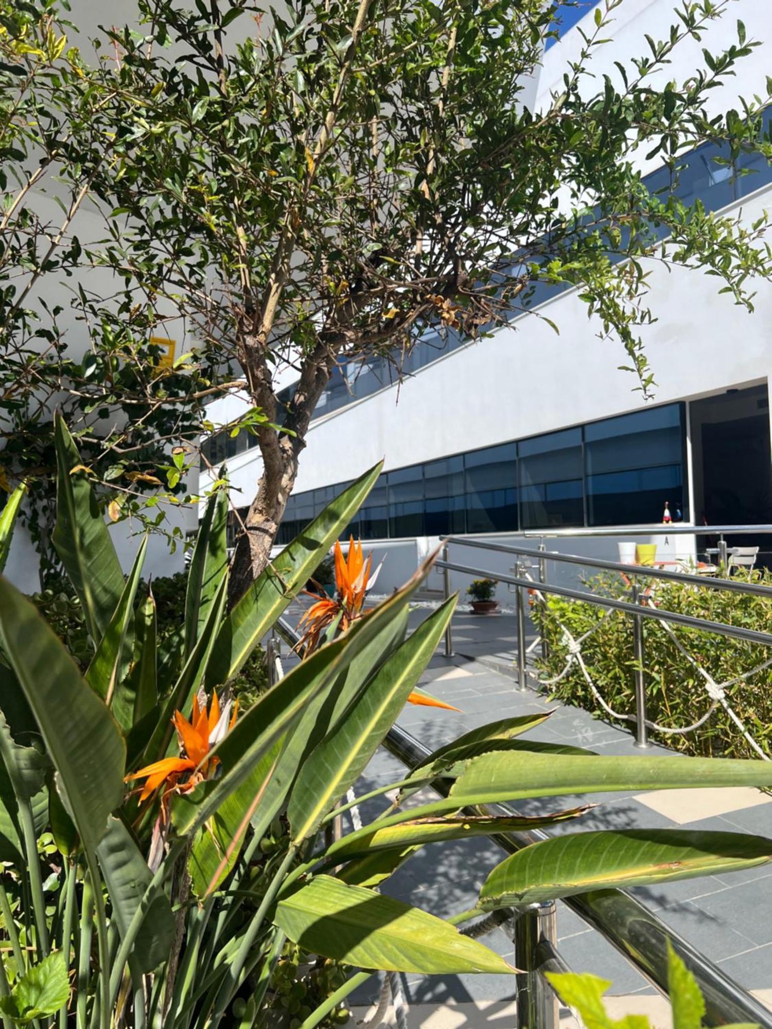 Ancla Real Apartamentos Loft 圣玛丽亚港 外观 照片