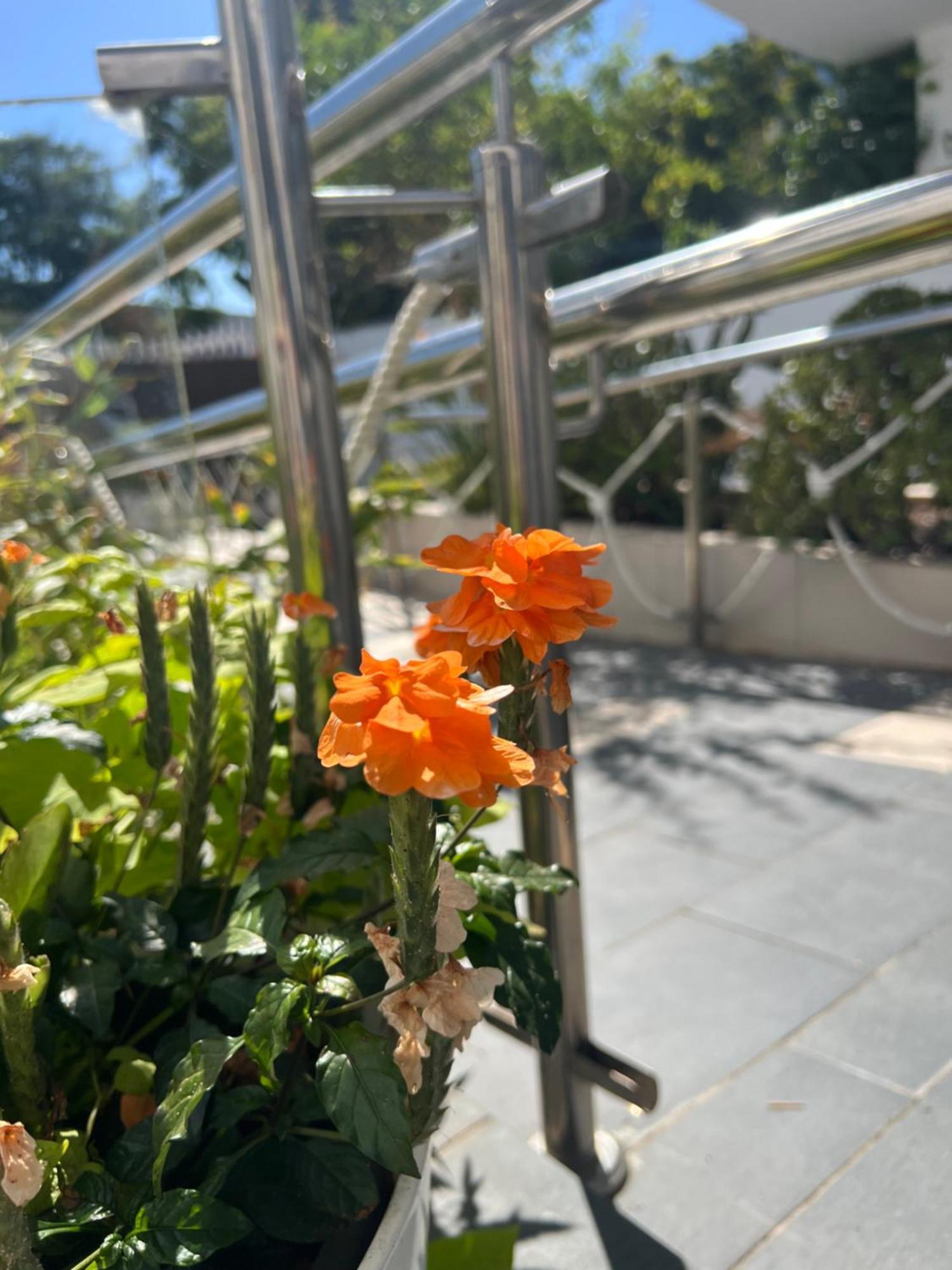Ancla Real Apartamentos Loft 圣玛丽亚港 外观 照片